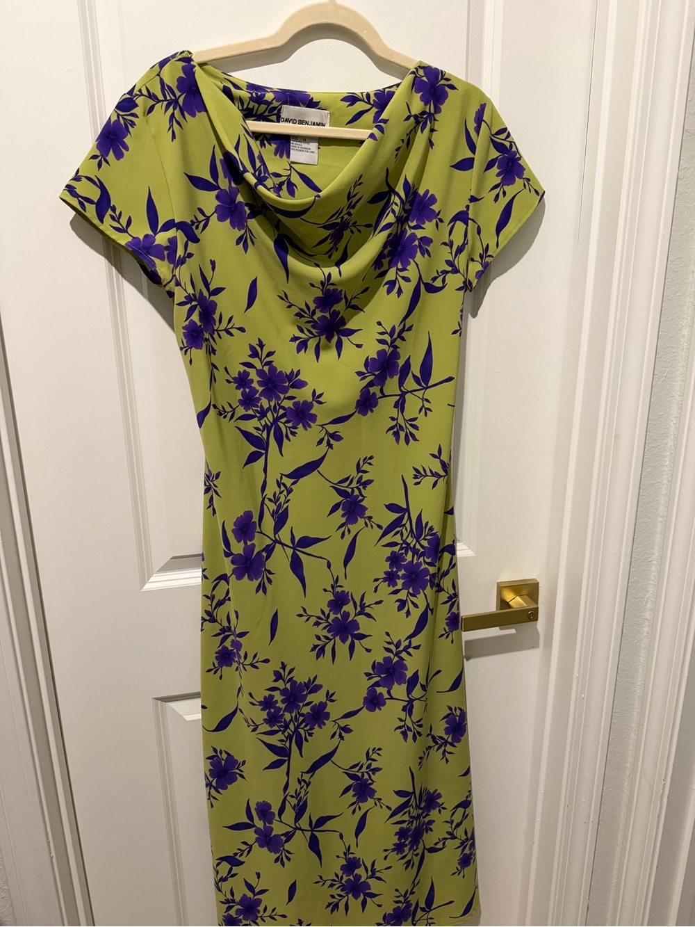 Vintage David Benjamin Lime Green Chartreuse Royal Purple Cowl Neck Maxi Dress
